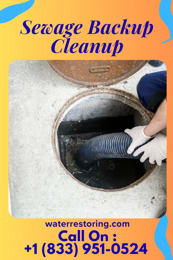 Sewage Backup Cleanup in College Station, TX